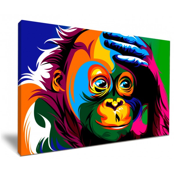 Adorable Orangutan