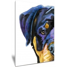 Beautiful Watercolour Rottweiler