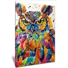 Colourful Festive Owl