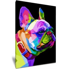 Colourful French Bulldog