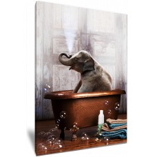 Baby Elephant In The Tub