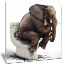 Elephant On The Toilet