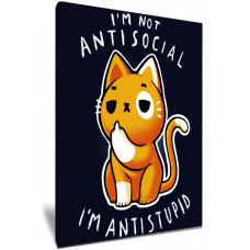 Antisocial Kitty