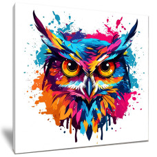 Colour Splash Owl Head