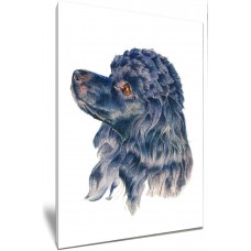Pretty Watercolour Poodle