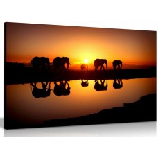 Elephant Family African Sunset