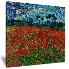 Poppy Field By  Vincent Van Gogh 