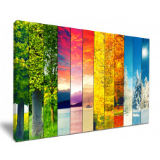Four Seasons Nature Collage