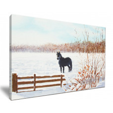Frisian Horse In A Snowy Meadow