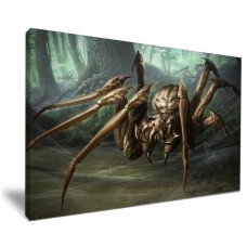 Scary Silk Spider