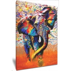 Graffiti Elephant